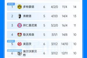 德甲积分榜:多特先赛1分领跑埃尔沃斯贝格跻身前6拜仁即将出战